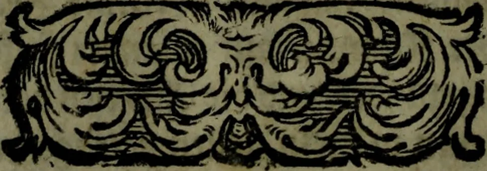 An illustration from Der nach Venedig überbrachte Mohr; oder, Curiose und wahrhaffte Erzehlung und Beschreibung aller Curiositäten und Denckwürdigkeiten, 1692, leaf 79