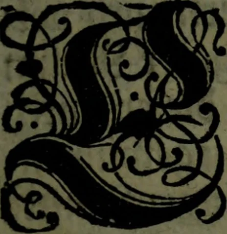 An illustration from Der nach Venedig überbrachte Mohr; oder, Curiose und wahrhaffte Erzehlung und Beschreibung aller Curiositäten und Denckwürdigkeiten, 1692, leaf 8