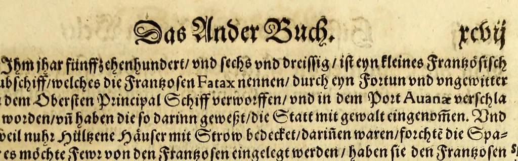 An illustration from Der Newenn Weldt vnd indianischen Königreichs, newe vnnd wahrhaffte History, : von allen Geschichten, Handlungen, Thaten, strengem vnnd ernstlichem Regiment der Spanier gegen den Indianern, vngläublichem grossem gut ..., 1579, leaf 109
