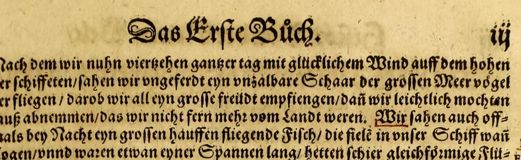 An illustration from Der Newenn Weldt vnd indianischen Königreichs, newe vnnd wahrhaffte History, : von allen Geschichten, Handlungen, Thaten, strengem vnnd ernstlichem Regiment der Spanier gegen den Indianern, vngläublichem grossem gut ..., 1579, leaf 15