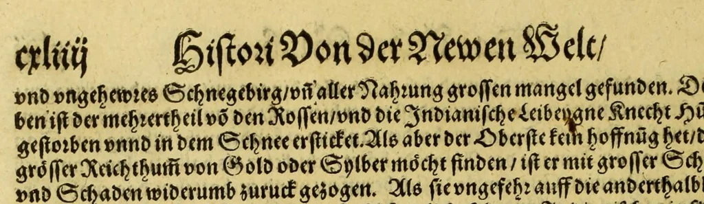 An illustration from Der Newenn Weldt vnd indianischen Königreichs, newe vnnd wahrhaffte History, : von allen Geschichten, Handlungen, Thaten, strengem vnnd ernstlichem Regiment der Spanier gegen den Indianern, vngläublichem grossem gut ..., 1579, leaf 156