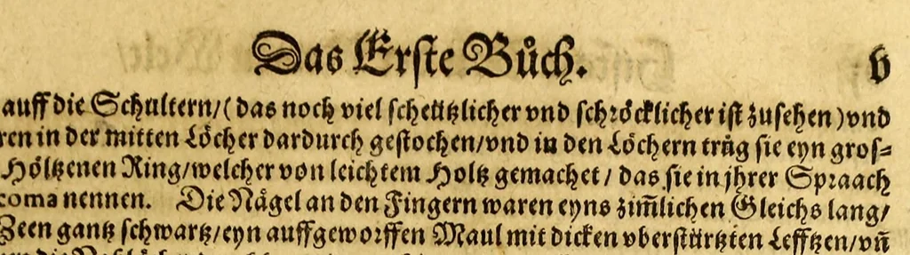 An illustration from Der Newenn Weldt vnd indianischen Königreichs, newe vnnd wahrhaffte History, : von allen Geschichten, Handlungen, Thaten, strengem vnnd ernstlichem Regiment der Spanier gegen den Indianern, vngläublichem grossem gut ..., 1579, leaf 17
