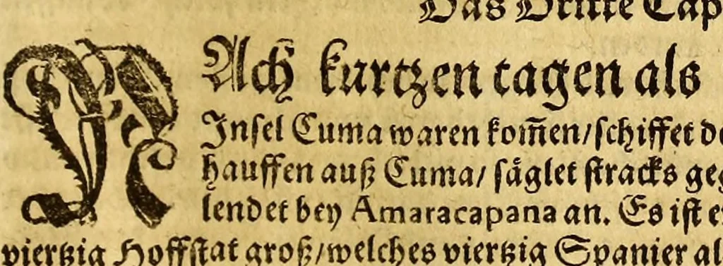 An illustration from Der Newenn Weldt vnd indianischen Königreichs, newe vnnd wahrhaffte History, : von allen Geschichten, Handlungen, Thaten, strengem vnnd ernstlichem Regiment der Spanier gegen den Indianern, vngläublichem grossem gut ..., 1579, leaf 19