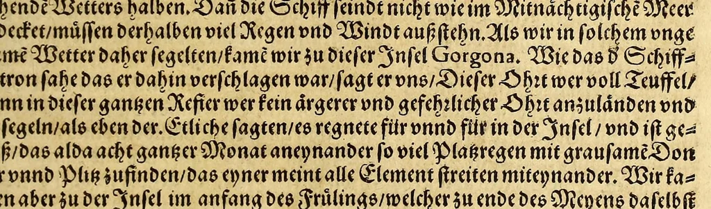 An illustration from Der Newenn Weldt vnd indianischen Königreichs, newe vnnd wahrhaffte History, : von allen Geschichten, Handlungen, Thaten, strengem vnnd ernstlichem Regiment der Spanier gegen den Indianern, vngläublichem grossem gut ..., 1579, leaf 219