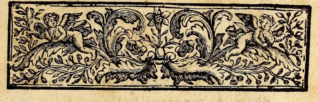 An illustration from Dernieres decouvertes dans l'Amerique septentrionale de M. de La Sale;, 1697, leaf 11