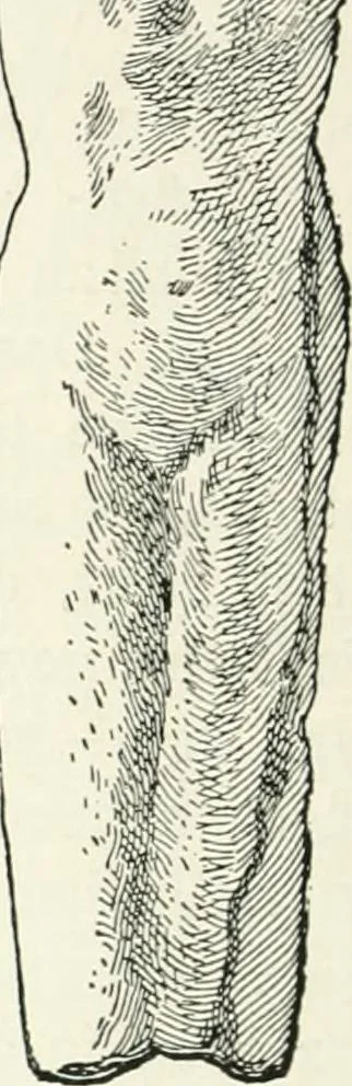 An illustration from Der Orient und die frühgriechische Kunst, 1912, leaf 123