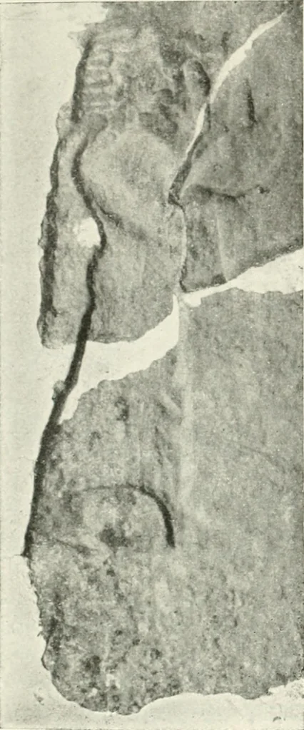 An illustration from Der Orient und die frühgriechische Kunst, 1912, leaf 165