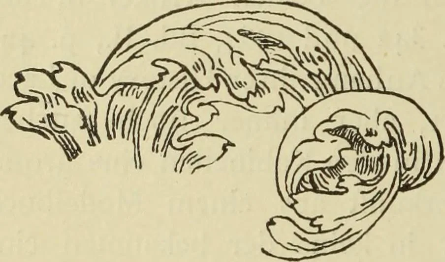 An illustration from Der Ornamentstich der deutschen Frührenaissance : nach seinem sachlichen Inhalt, 1888, leaf 138
