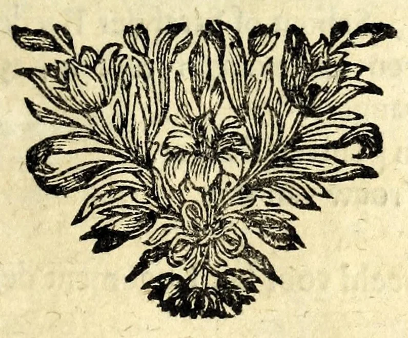 An illustration from Der schalken list ontdekt : klucht-spel, 1700, leaf 3