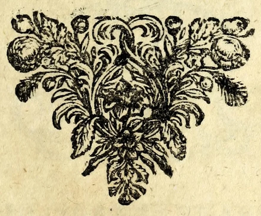 An illustration from Der schalken list ontdekt : klucht-spel, 1700, leaf 49