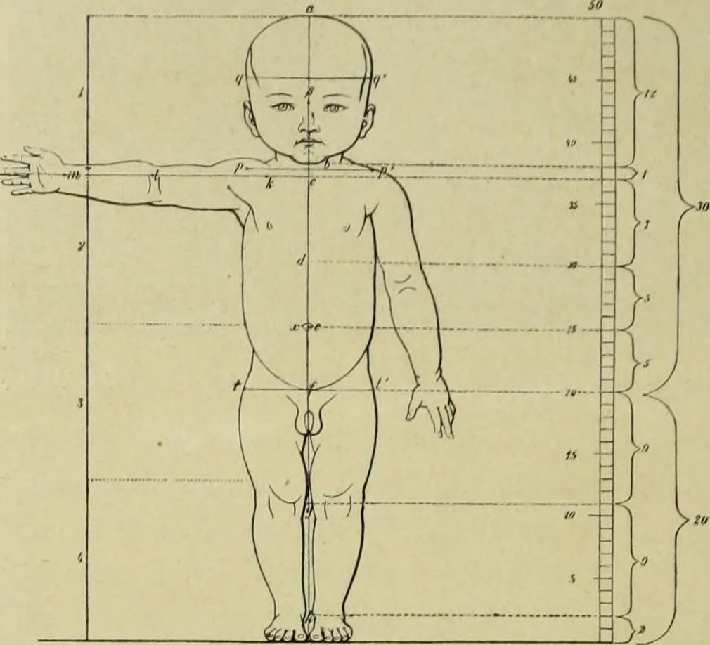 An illustration from Der schoene Mensch im Altertum; eine Geschichte des Koerperideals bei Aegyptern, Orientalen u. Griechen, 1912, leaf 232