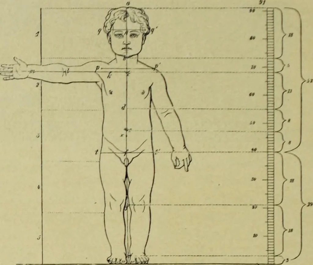 An illustration from Der schoene Mensch im Altertum; eine Geschichte des Koerperideals bei Aegyptern, Orientalen u. Griechen, 1912, leaf 232
