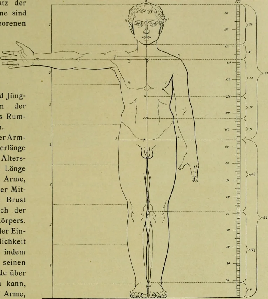 An illustration from Der schoene Mensch im Altertum; eine Geschichte des Koerperideals bei Aegyptern, Orientalen u. Griechen, 1912, leaf 233