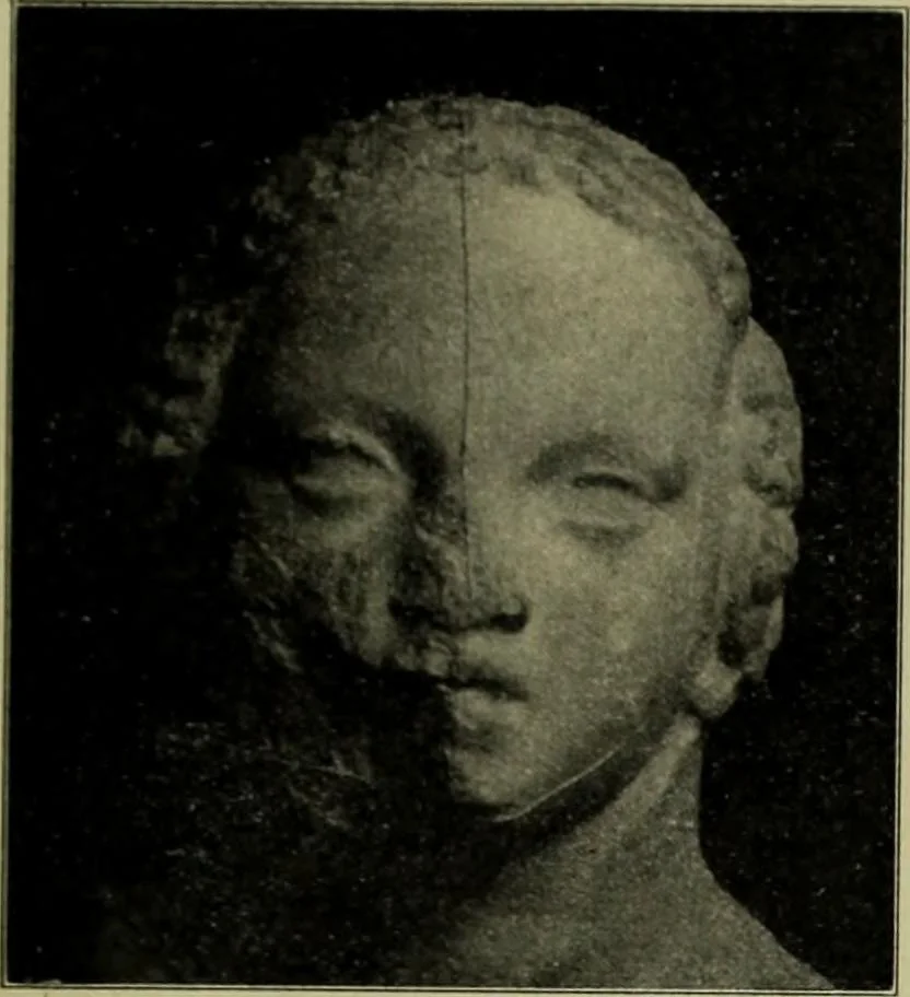 An illustration from Der schoene Mensch im Altertum; eine Geschichte des Koerperideals bei Aegyptern, Orientalen u. Griechen, 1912, leaf 235