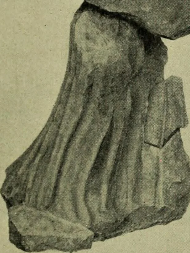 An illustration from Der schoene Mensch im Altertum; eine Geschichte des Koerperideals bei Aegyptern, Orientalen u. Griechen, 1912, leaf 297