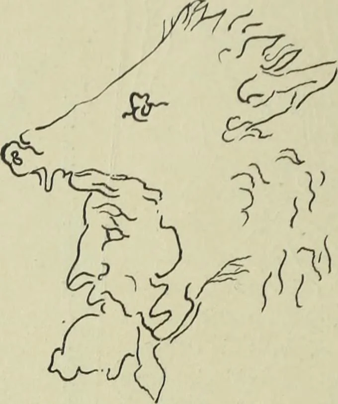 An illustration from Der schoene Mensch im Altertum; eine Geschichte des Koerperideals bei Aegyptern, Orientalen u. Griechen, 1912, leaf 364