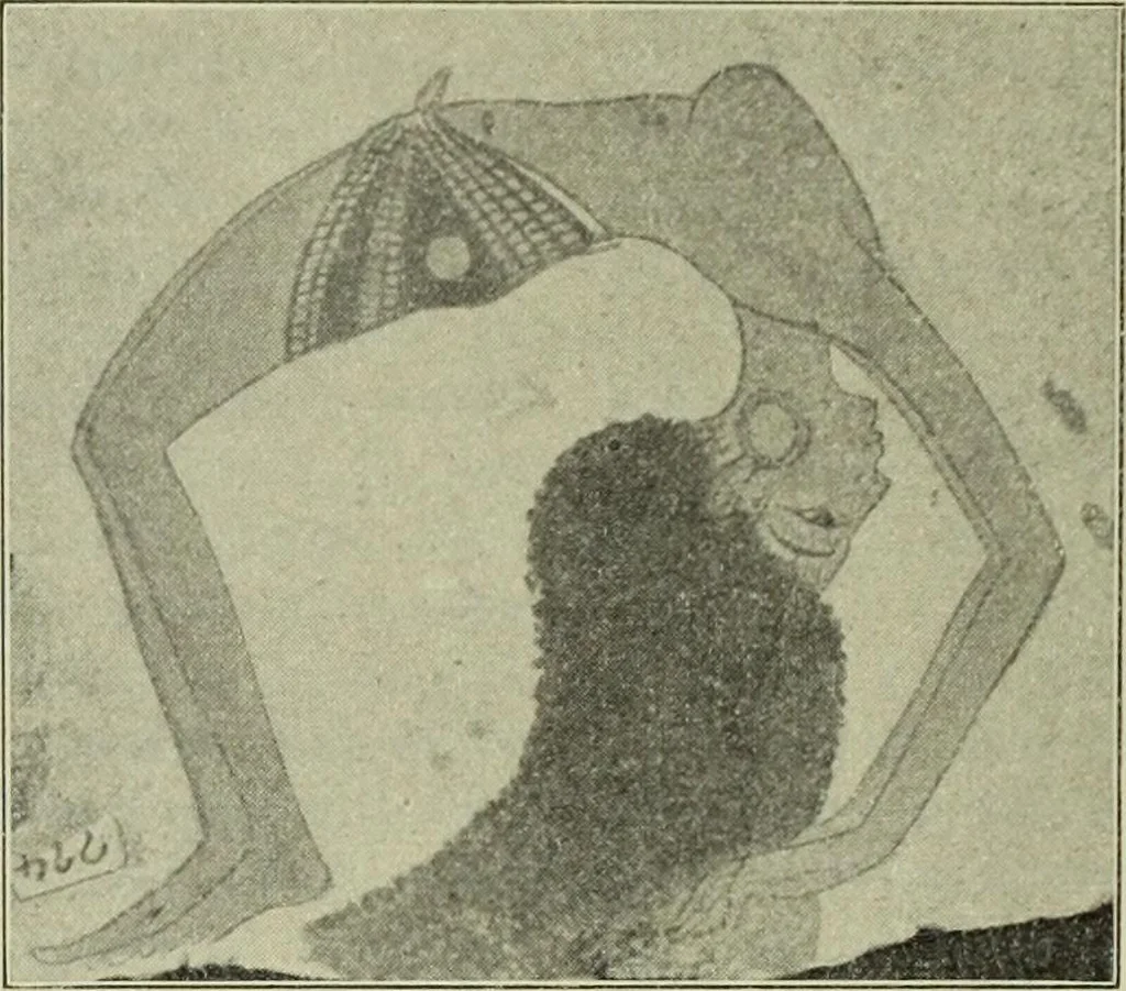 An illustration from Der schoene Mensch im Altertum; eine Geschichte des Koerperideals bei Aegyptern, Orientalen u. Griechen, 1912, leaf 40
