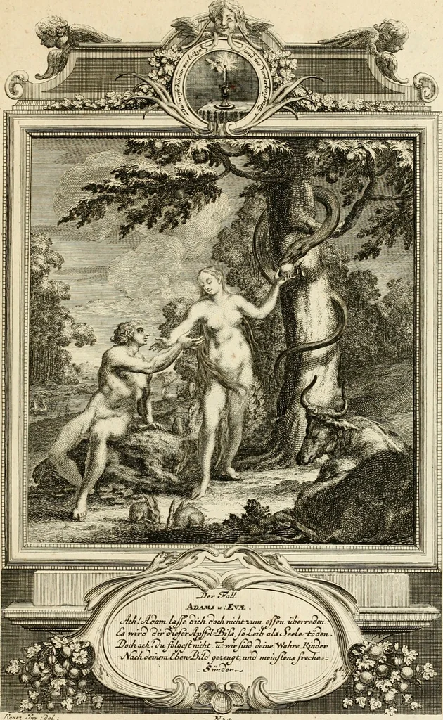 An illustration from Der sogenannte Sinn-lehr-und Geist-volle ... Todentanz : anietzo mit einigen einfältig, doch gut gemeynten Reimen und Versen versehen, 1767, leaf 24