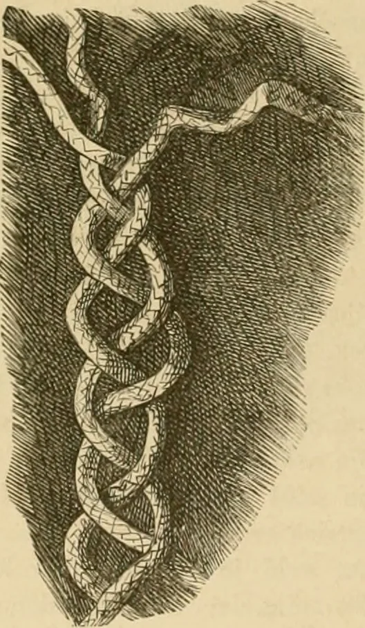 An illustration from Der Stil in den technischen und tektonischen Künsten; oder, Praktische Aesthetik. Ein Handbuch für Techniker, Künstler und Kunstfreunde, 1878, leaf 229