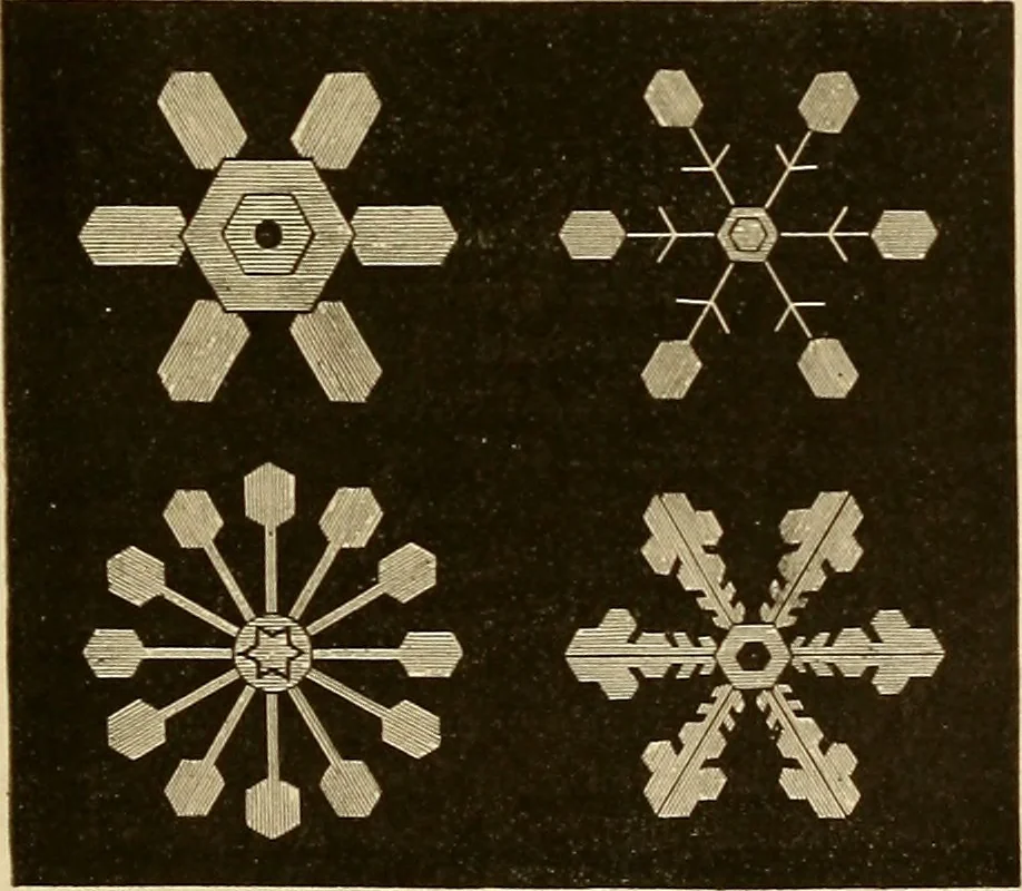 An illustration from Der Stil in den technischen und tektonischen Künsten; oder, Praktische Aesthetik. Ein Handbuch für Techniker, Künstler und Kunstfreunde, 1878, leaf 28