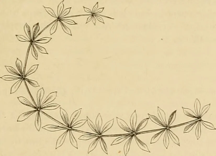An illustration from Der Stil in den technischen und tektonischen Künsten; oder, Praktische Aesthetik. Ein Handbuch für Techniker, Künstler und Kunstfreunde, 1878, leaf 34