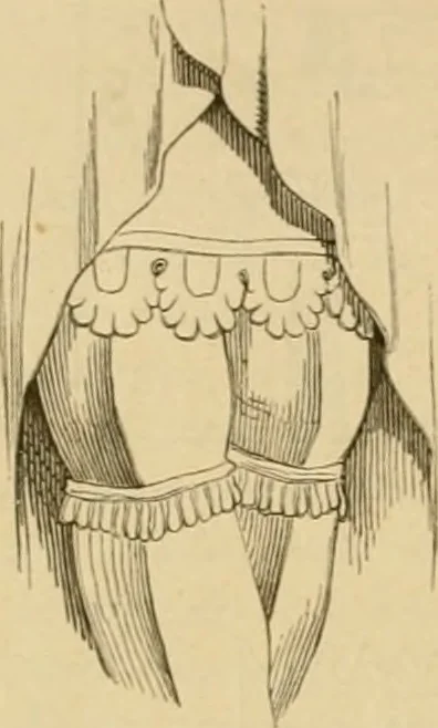 An illustration from Der Stil in den technischen und tektonischen Künsten; oder, Praktische Aesthetik. Ein Handbuch für Techniker, Künstler und Kunstfreunde, 1878, leaf 77