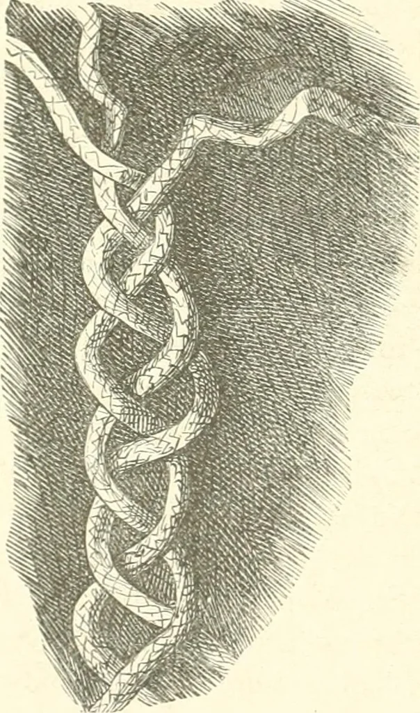 An illustration from Der Stil in den technischen und tektonischen Künsten; oder, Praktische Aesthetik. Ein Handbuch für Techniker, Künstler und Kunstfreunde, 1884, leaf 217