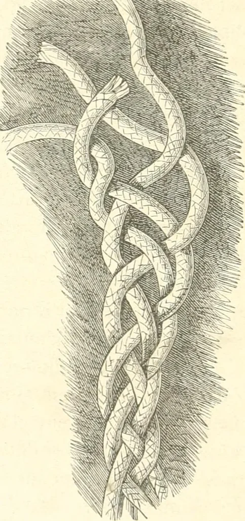 An illustration from Der Stil in den technischen und tektonischen Künsten; oder, Praktische Aesthetik. Ein Handbuch für Techniker, Künstler und Kunstfreunde, 1884, leaf 217