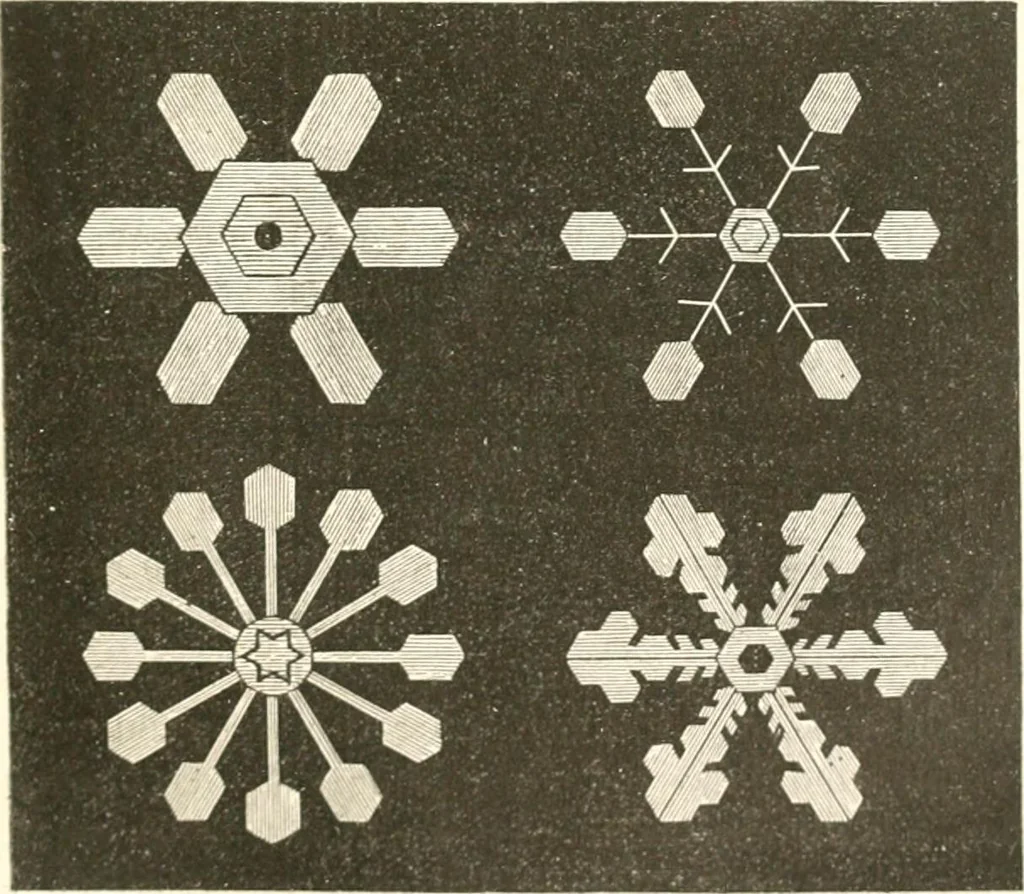 An illustration from Der Stil in den technischen und tektonischen Künsten; oder, Praktische Aesthetik. Ein Handbuch für Techniker, Künstler und Kunstfreunde, 1884, leaf 28