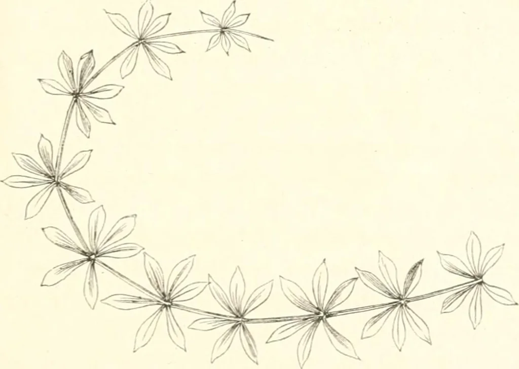 An illustration from Der Stil in den technischen und tektonischen Künsten; oder, Praktische Aesthetik. Ein Handbuch für Techniker, Künstler und Kunstfreunde, 1884, leaf 34