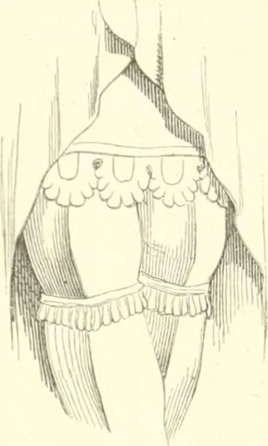 An illustration from Der Stil in den technischen und tektonischen Künsten; oder, Praktische Aesthetik. Ein Handbuch für Techniker, Künstler und Kunstfreunde, 1884, leaf 77
