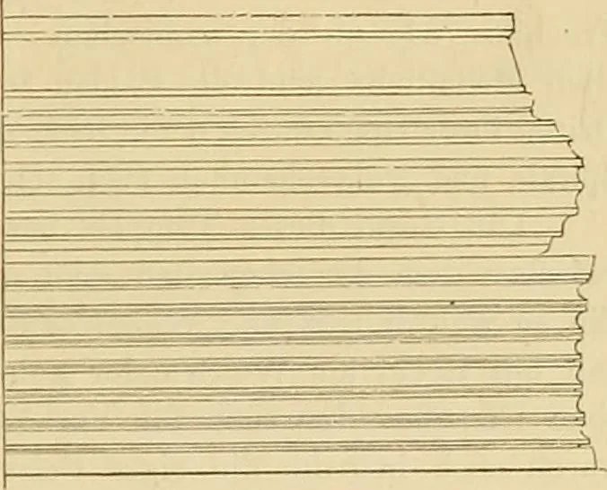 An illustration from Der Stil in den technischen und tektonischen Künsten; oder, Praktische Aesthetik. Ein Handbuch für Techniker, Künstler und Kunstfreunde, 1878, leaf 471