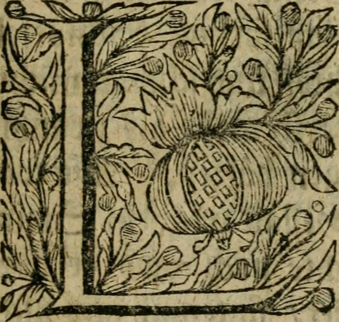 An illustration from Der von Mose u. denen Propheten übel urtheilende Alchymist, wird fürgestellet in einer Schrifft-gemässen Erweisung : dass Moses und einige Propheten, wie auch David, Salomon, Hiob, Esra und dergleichen, keine Adepti Lapidis Philosophorum gewesen sind : ingleichen dass die Lehre und alchymistisch vorgeben, von Verwandlung der geringen Metalle in Gold, eine lautere Phantasie und schädliche Einbildung sey, 1706, leaf 20