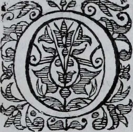 An illustration from Der zee-vaert lof : handelende vande gedenckwaerdighste zee-vaerden... in VI boecken beschreven, 1634, leaf 8
