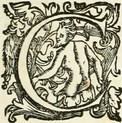 An illustration from De sacris aedificiis a Constantino Magno constructis : synopsis historica, 1693, leaf 14