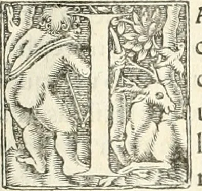 An illustration from Hieroglyphica, sive, De sacris Aegyptiorvm literis commentarii, 1556, leaf 101