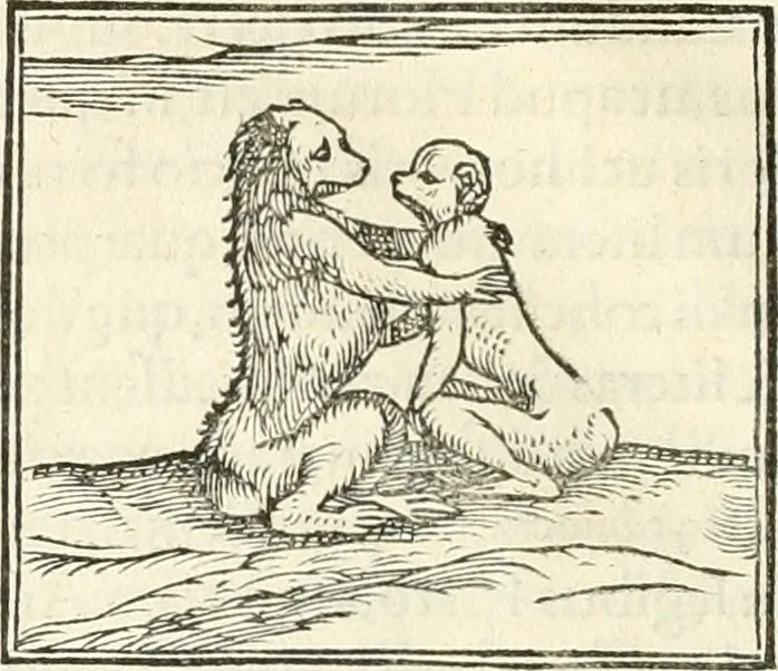 An illustration from Hieroglyphica, sive, De sacris Aegyptiorvm literis commentarii, 1556, leaf 101