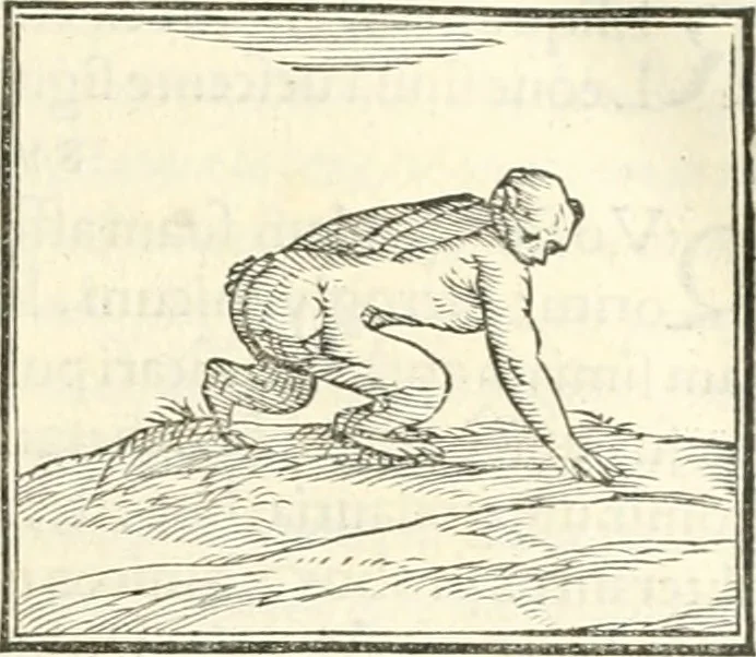 An illustration from Hieroglyphica, sive, De sacris Aegyptiorvm literis commentarii, 1556, leaf 102