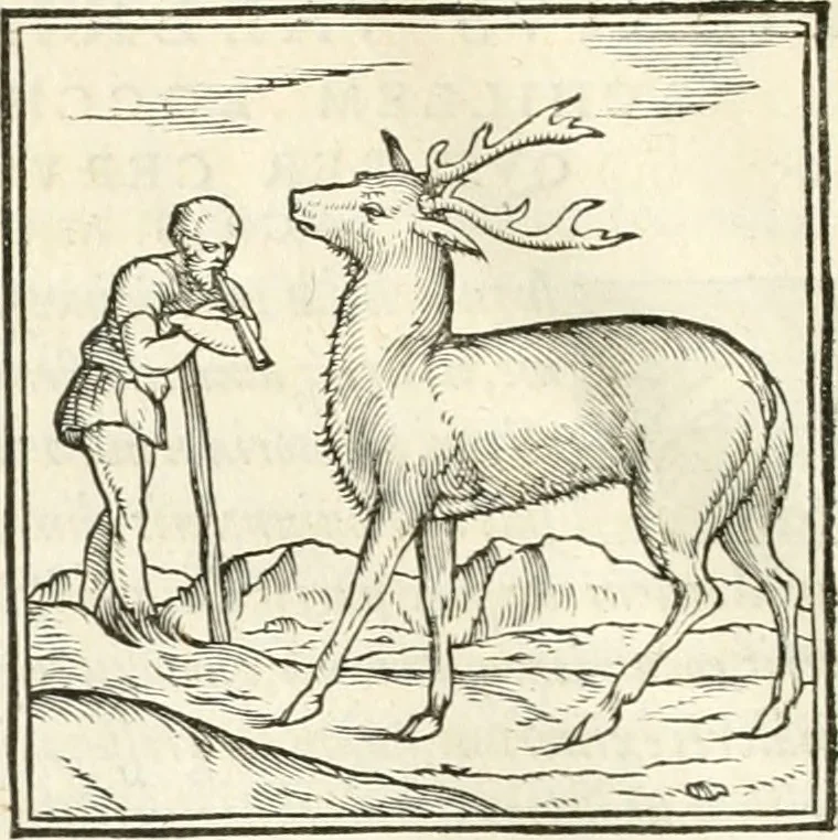 An illustration from Hieroglyphica, sive, De sacris Aegyptiorvm literis commentarii, 1556, leaf 105