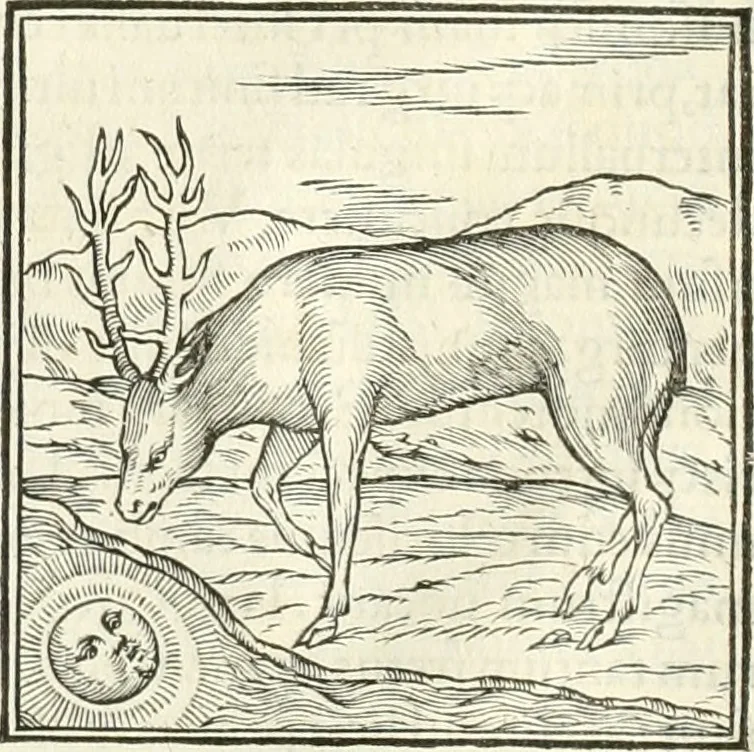 An illustration from Hieroglyphica, sive, De sacris Aegyptiorvm literis commentarii, 1556, leaf 109