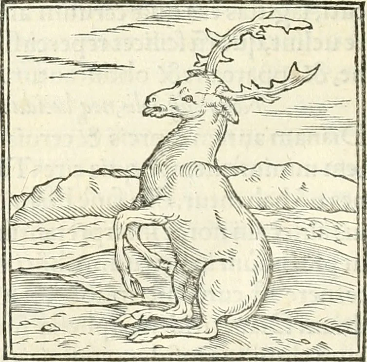An illustration from Hieroglyphica, sive, De sacris Aegyptiorvm literis commentarii, 1556, leaf 113