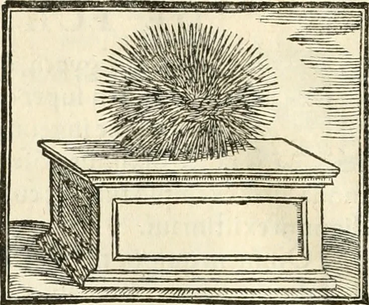 An illustration from Hieroglyphica, sive, De sacris Aegyptiorvm literis commentarii, 1556, leaf 127