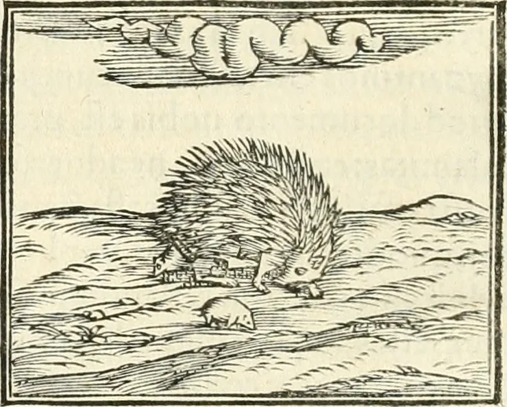 An illustration from Hieroglyphica, sive, De sacris Aegyptiorvm literis commentarii, 1556, leaf 127