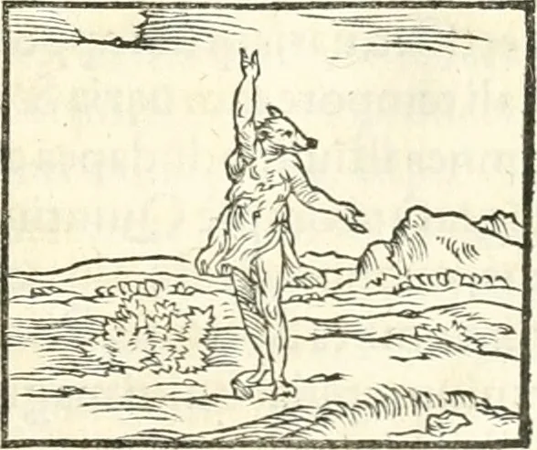 An illustration from Hieroglyphica, sive, De sacris Aegyptiorvm literis commentarii, 1556, leaf 134