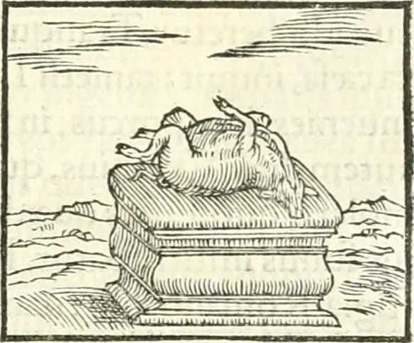 An illustration from Hieroglyphica, sive, De sacris Aegyptiorvm literis commentarii, 1556, leaf 140