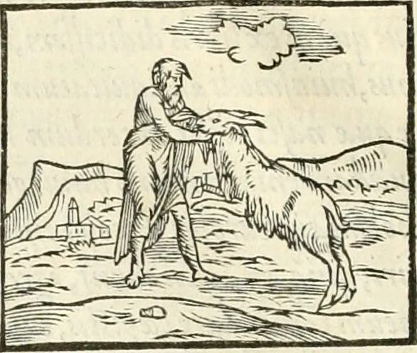 An illustration from Hieroglyphica, sive, De sacris Aegyptiorvm literis commentarii, 1556, leaf 145