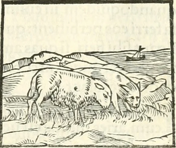 An illustration from Hieroglyphica, sive, De sacris Aegyptiorvm literis commentarii, 1556, leaf 156