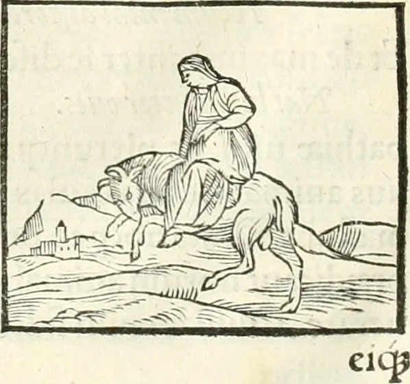 An illustration from Hieroglyphica, sive, De sacris Aegyptiorvm literis commentarii, 1556, leaf 157