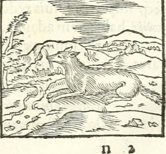 An illustration from Hieroglyphica, sive, De sacris Aegyptiorvm literis commentarii, 1556, leaf 162
