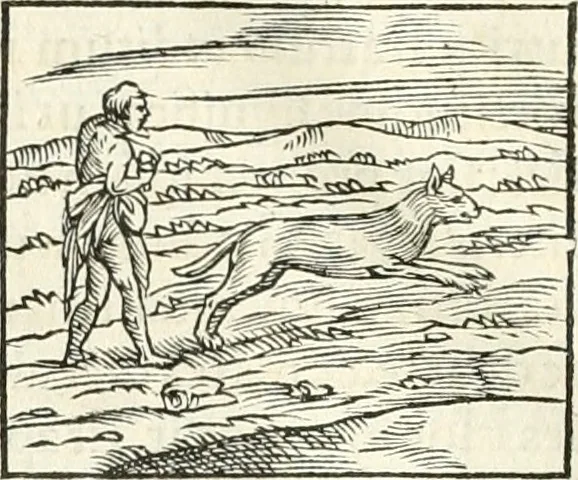 An illustration from Hieroglyphica, sive, De sacris Aegyptiorvm literis commentarii, 1556, leaf 163